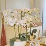 Apartment Emily 2 Bedrooms 2 Baths Near Palais *