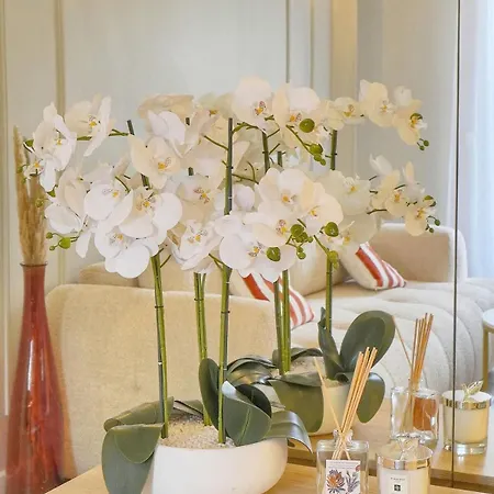 公寓 Emily 2 Bedrooms 2 Baths Near Palais *